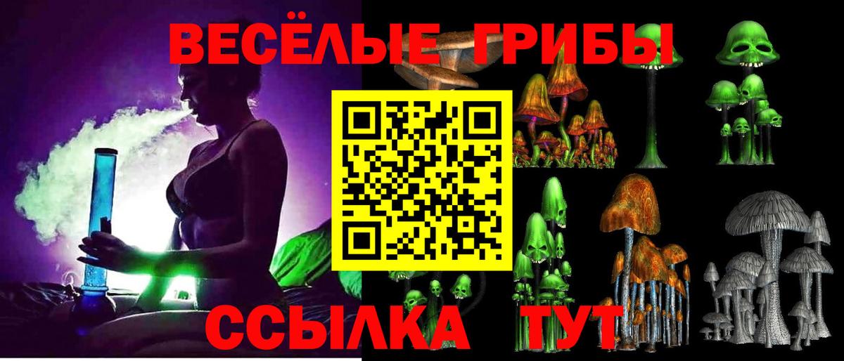 Саяногорск  Псилоцибиновые грибы MAGIC MUSHROOMS  Вход с VPN  Псилоцибиновые грибы Cubensis 